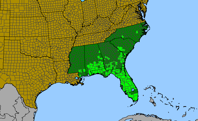 The range of Sorghastrum secundum
